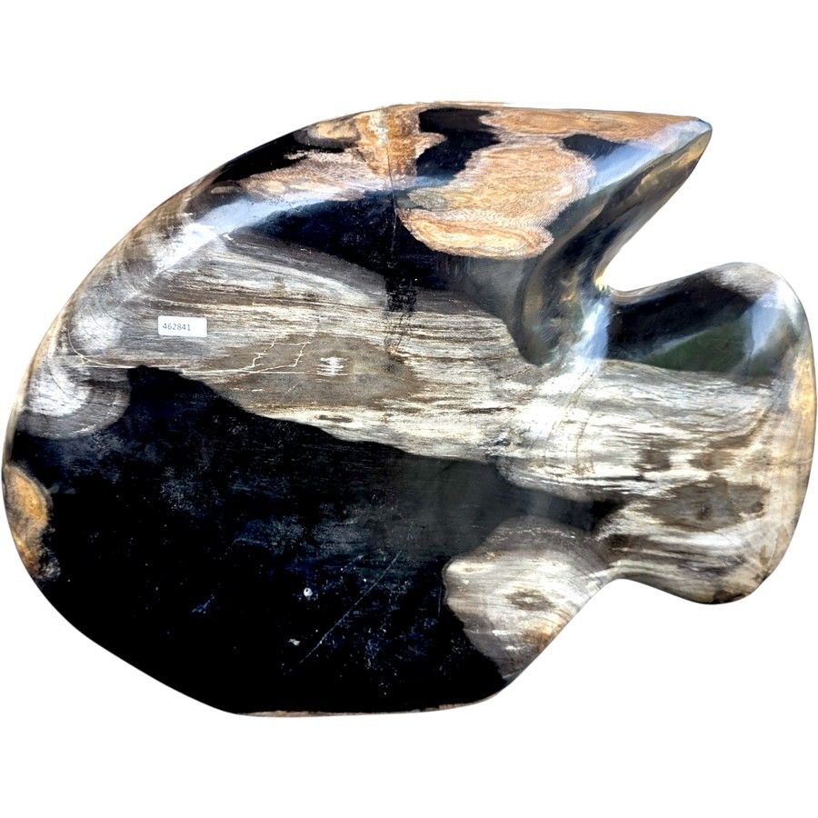 Fish Sculpture Abstract Fossil Petrified Wood 16"W x 11"H