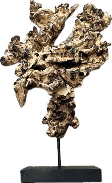 Root Sculpture On Stand Gliricidia Sepium Wood 21"H x 13"W x 4"D