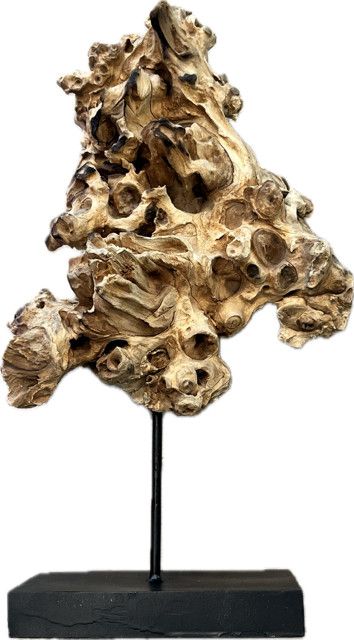 Root Sculpture On Stand Gliricidia Sepium Wood 20"H x 10" W x 6"D