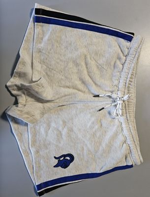 L2 Chaser Shorts