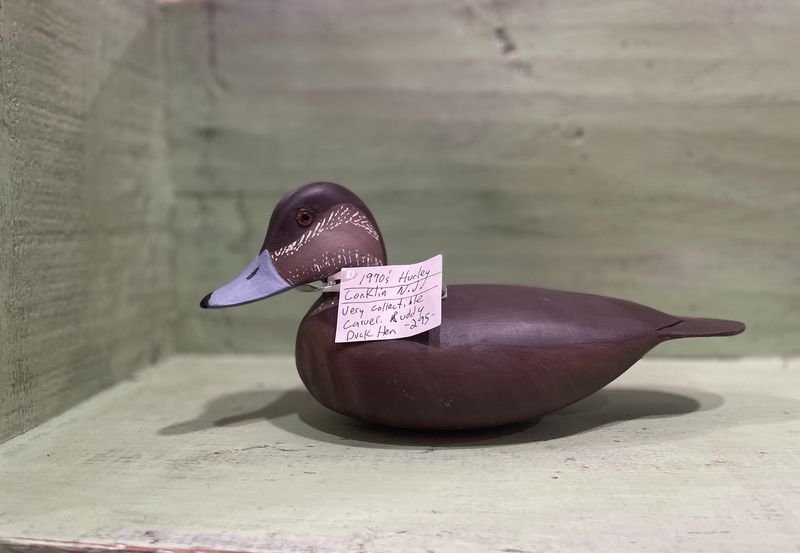 Hurley Conklin Ruddy Duck Hen