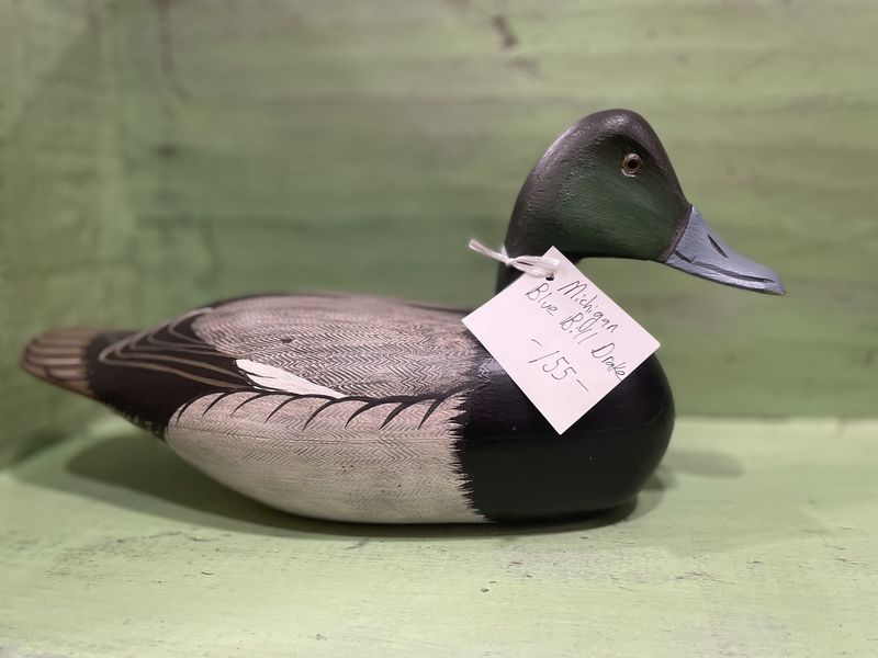 Michigan Blue Bill Drake