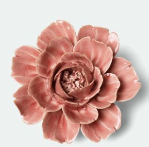 Coral 12 Flower