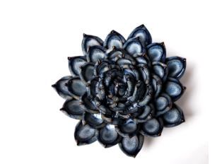 Coral 6 Flower, Color: Succulent Blue Grey