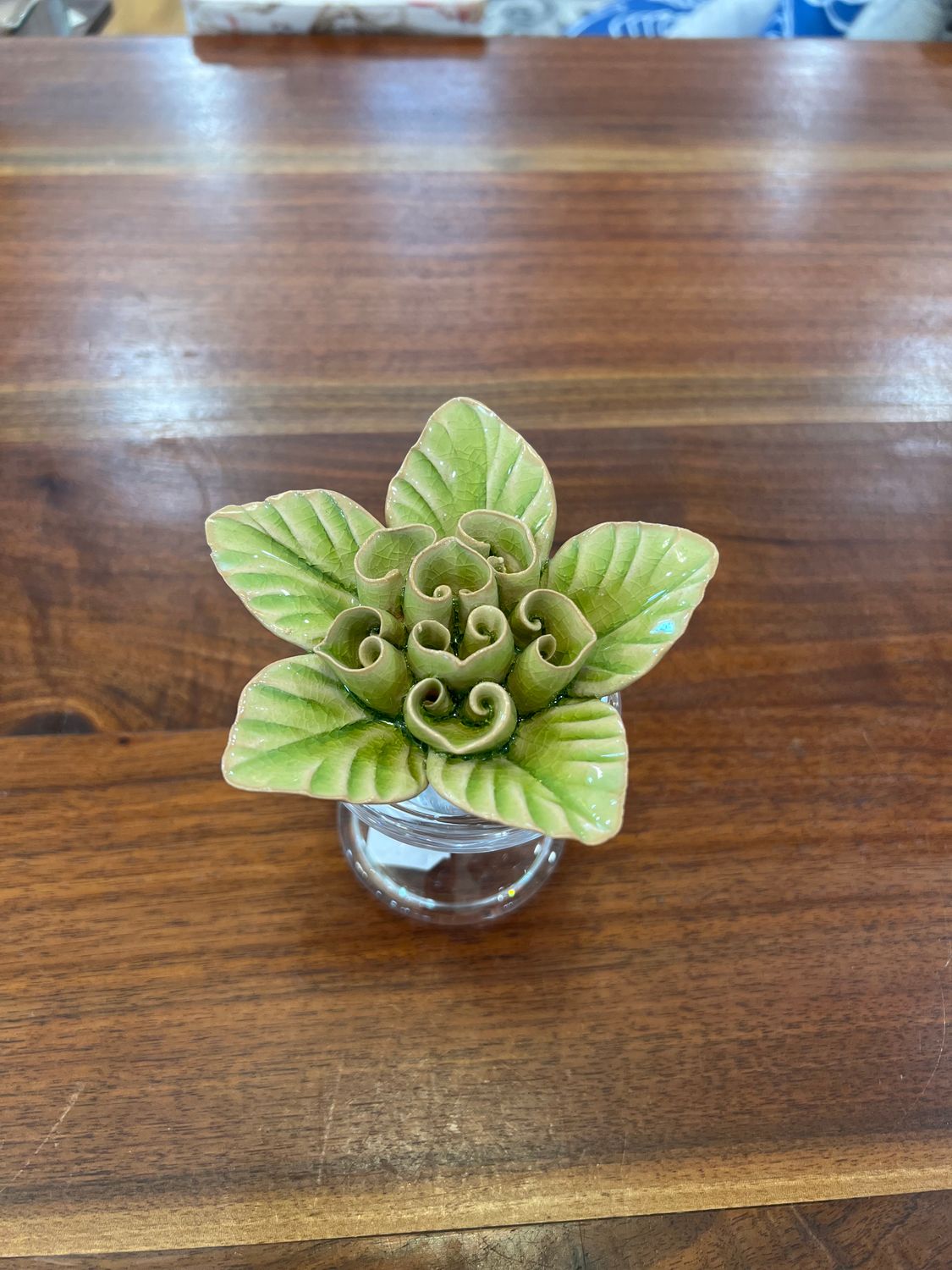 English Garden Flower, Color: Green Lotus