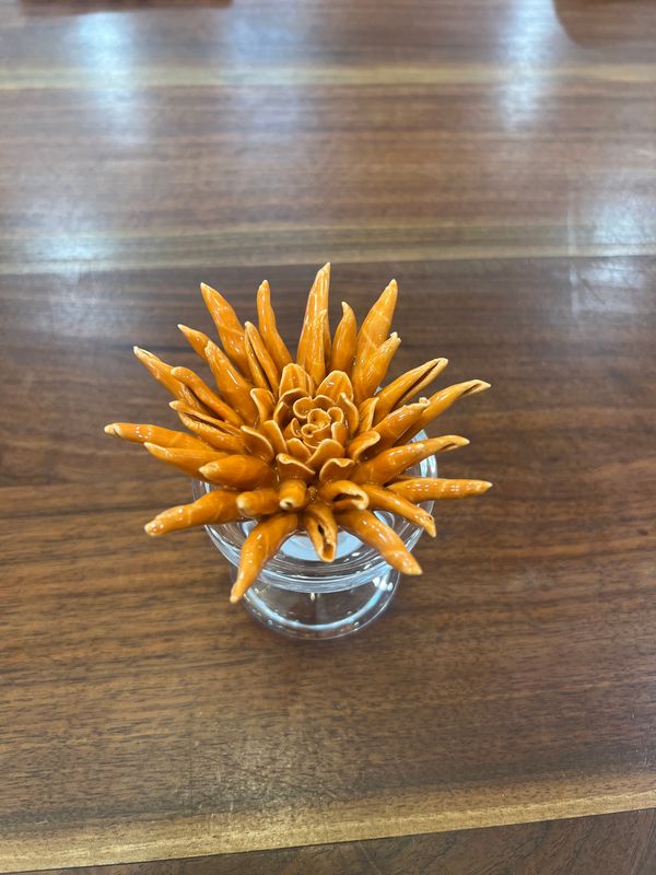 Coral 2 Flower