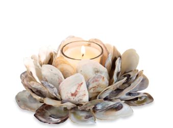 Oyster Shell Votive Holder