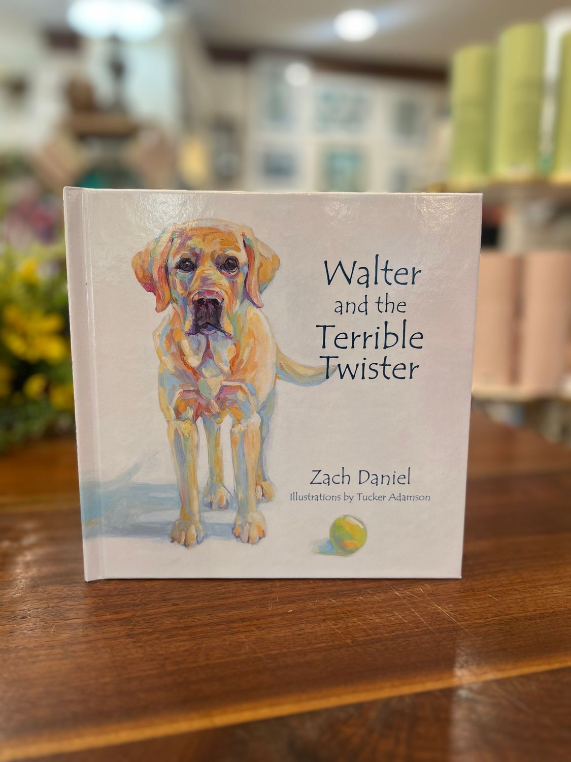 Walter Books, Style: Walter &amp; the Terrible Twister