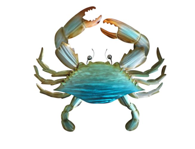 Stainless Steel Blue Crab