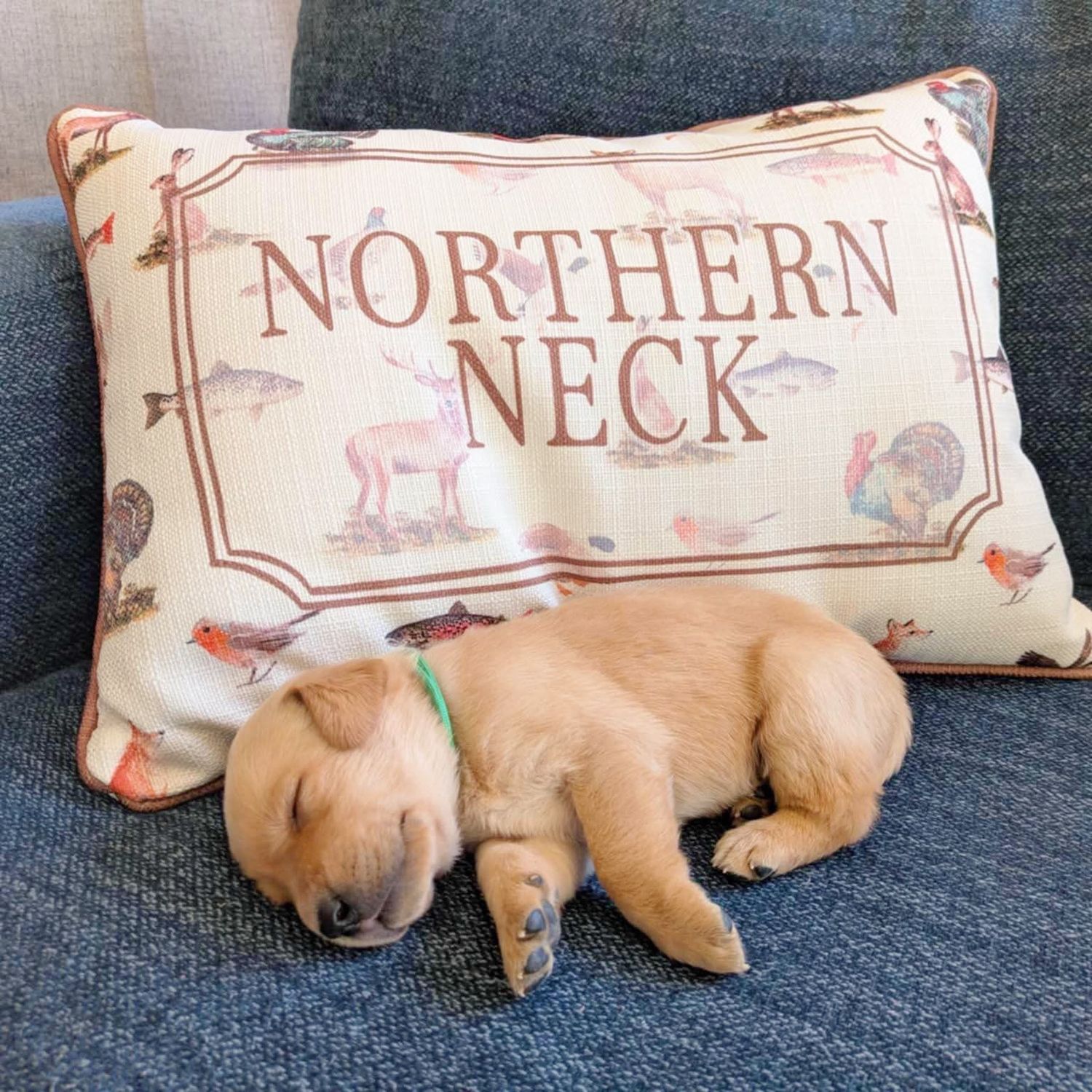 NNK Wildlife Pillow
