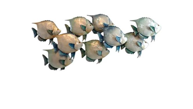 Capiz School of Dory Fish
