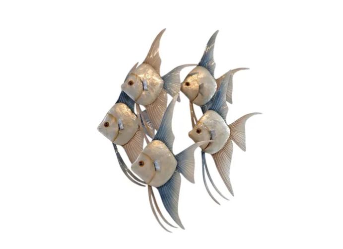 Capiz Angelfish School