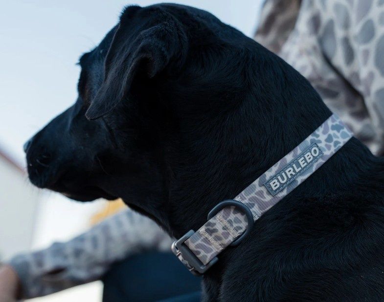 Burlebo Dog Collar, Size: S/M