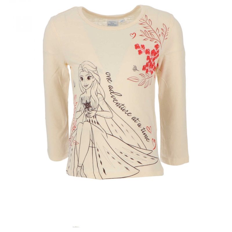 T-shirt frozen