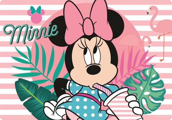 Place matje disney