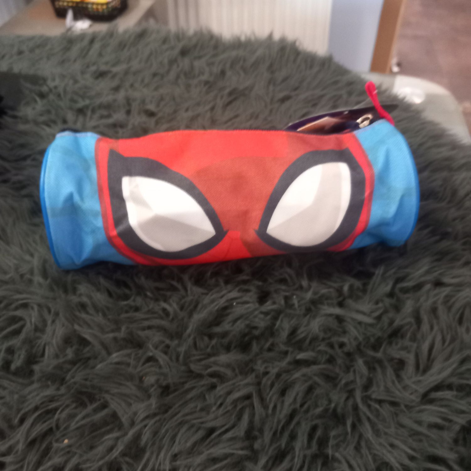 Pennenzak spiderman