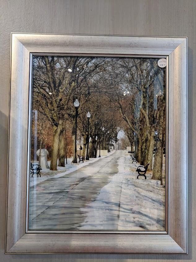 Local Photographer Battery Park Burlington