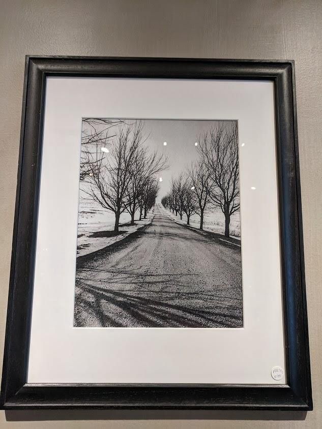 Photo Local Photographer B&amp;W Treed Lane