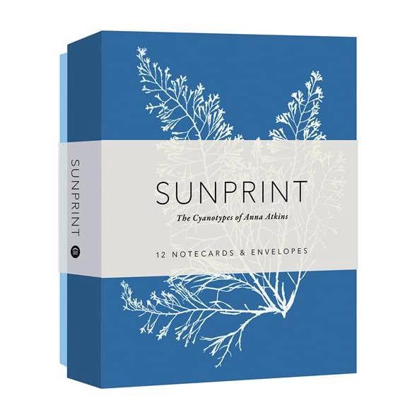Sunprint Notecards &amp; Envelopes
