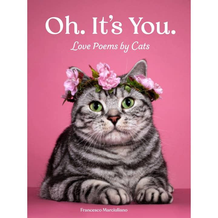 Oh. It&#39;s You. Book