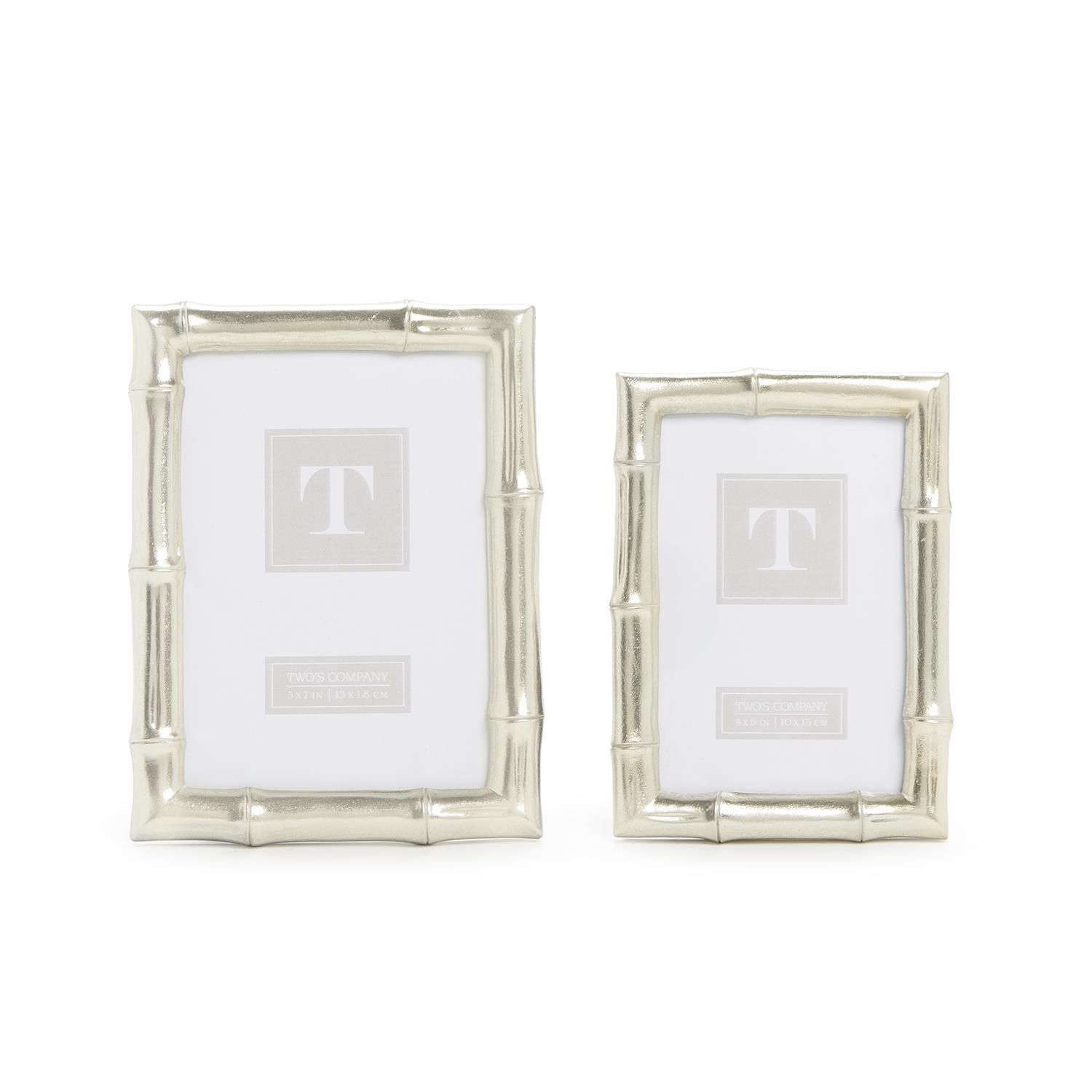 Silver Faux Bamboo Frame