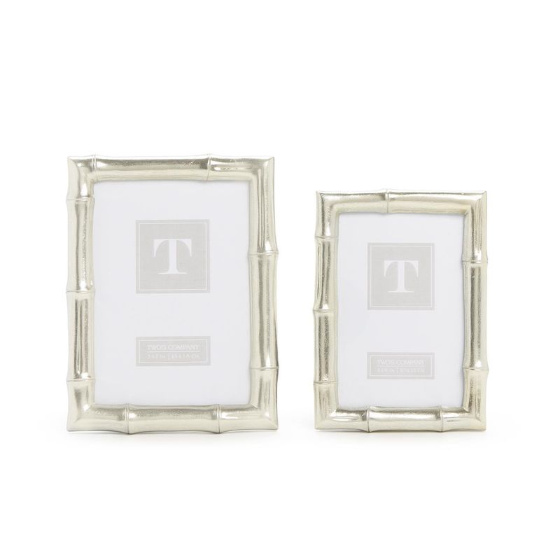 Silver Faux Bamboo Frame