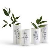 Say it With Flowers Assorted Bud Vases