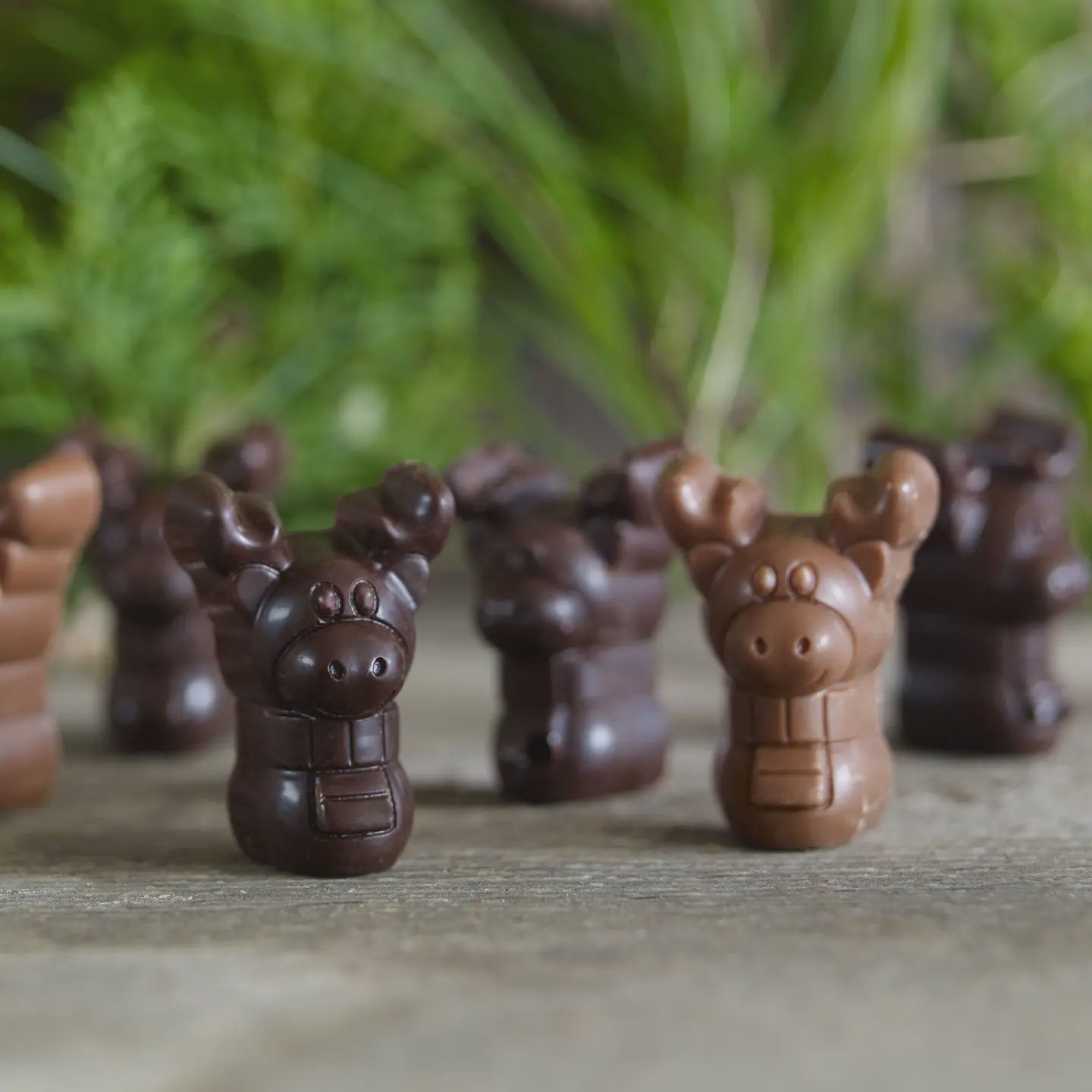 Mini Maine Moose Chocolate