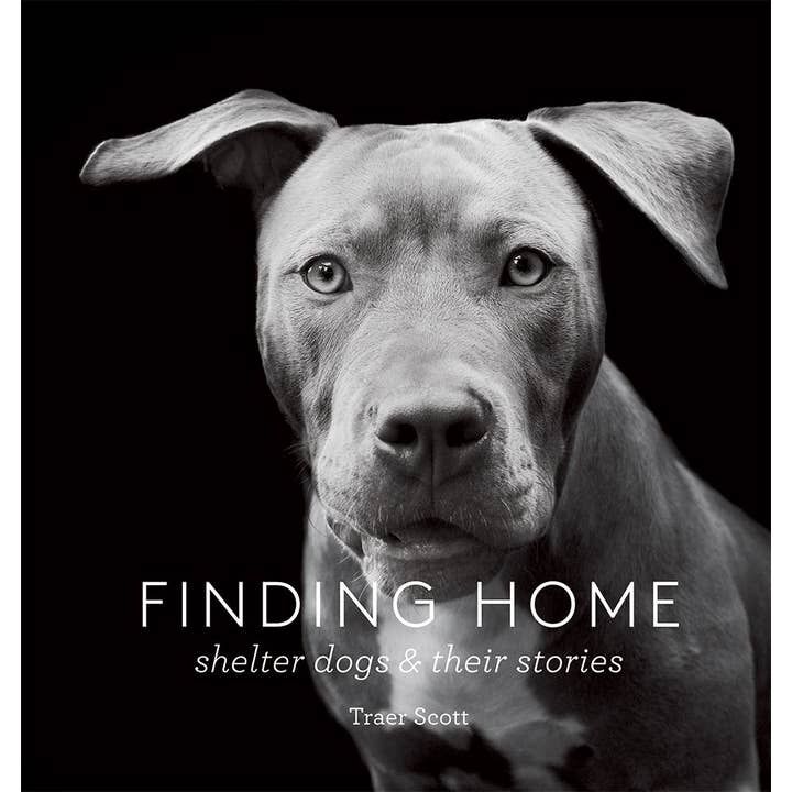 Finding Home