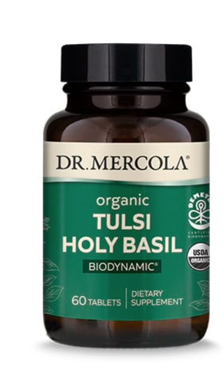 Organic Tulsi Holy Basil