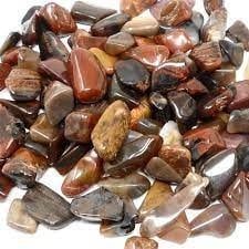 Petrified wood