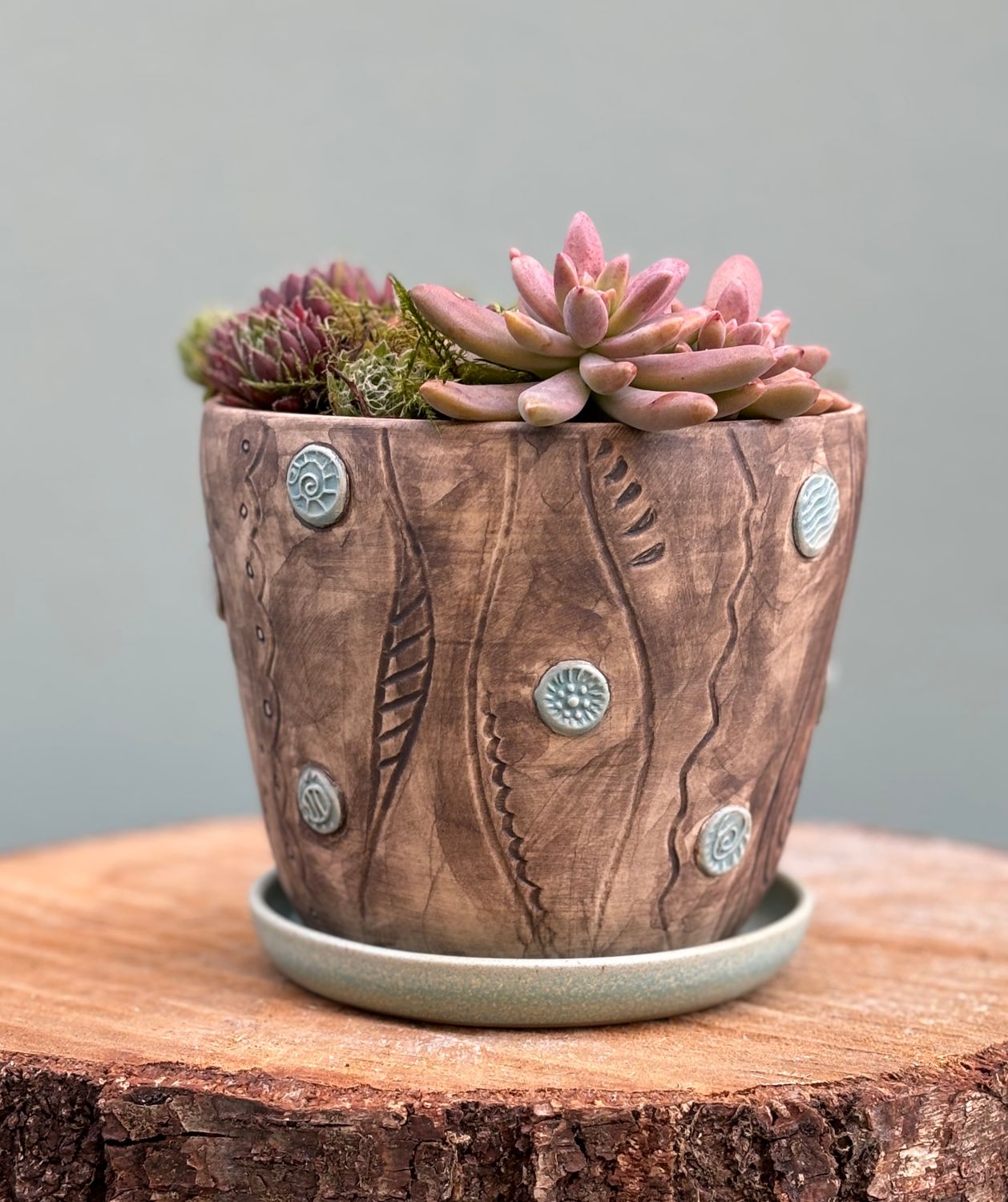 SMALL PLANT POT WITH SAUCER / No.2