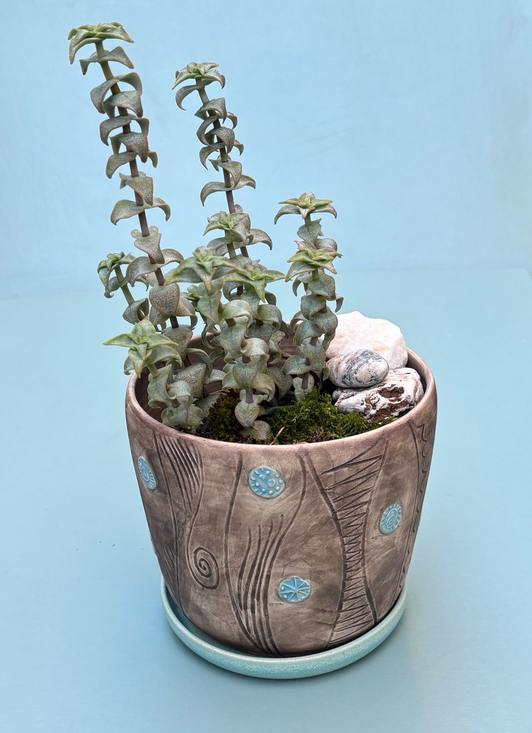 SMALL PLANT POT WITH SAUCER   No.3.