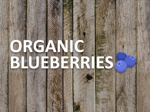 Organic Blueberries