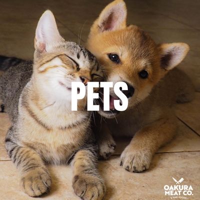 Pets