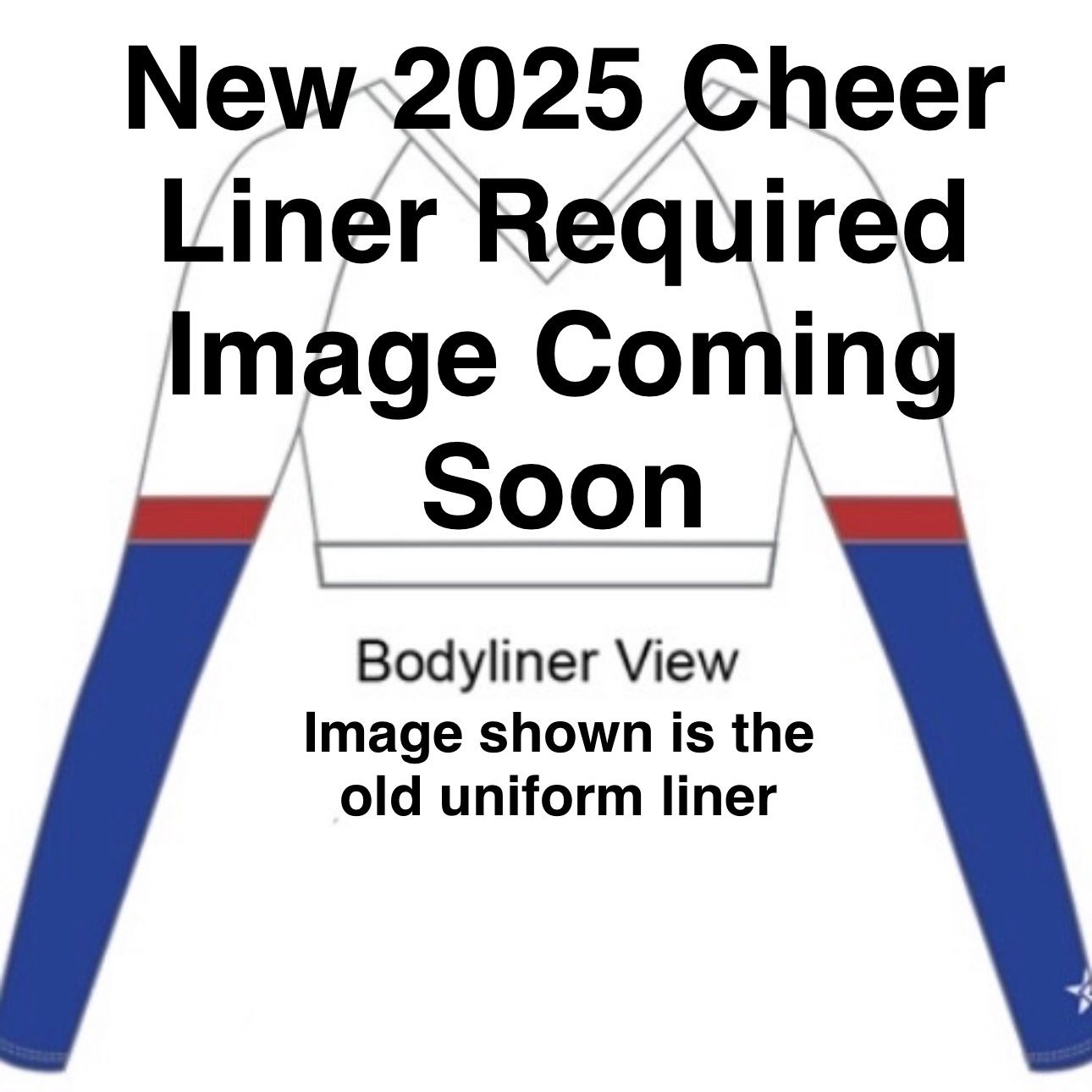 REQUIRED Cheer Liner