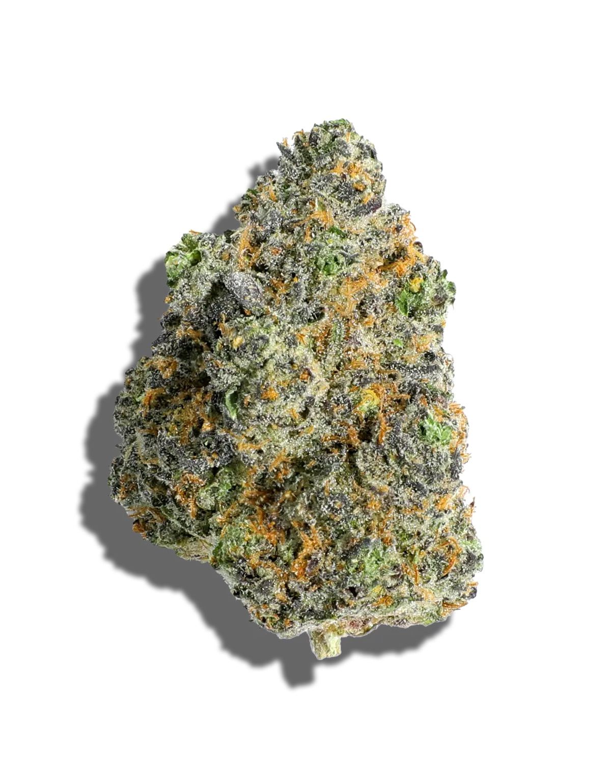 GARY RUNTZ PREMIUM EXOTIC INDOOR FLOWER