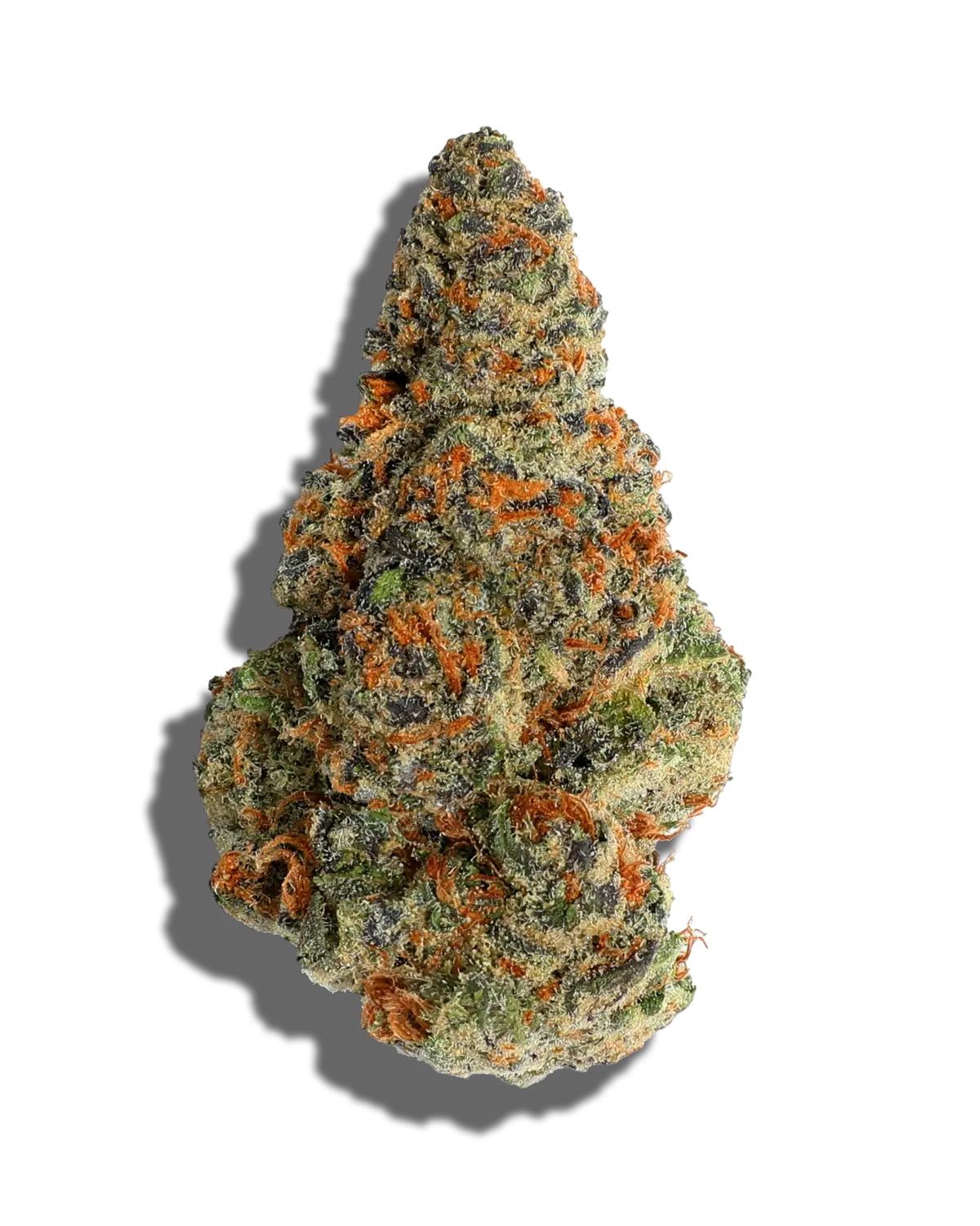 RS-11 (RAINBOW SHERBET) PREMIUM EXOTIC INDOOR FLOWER