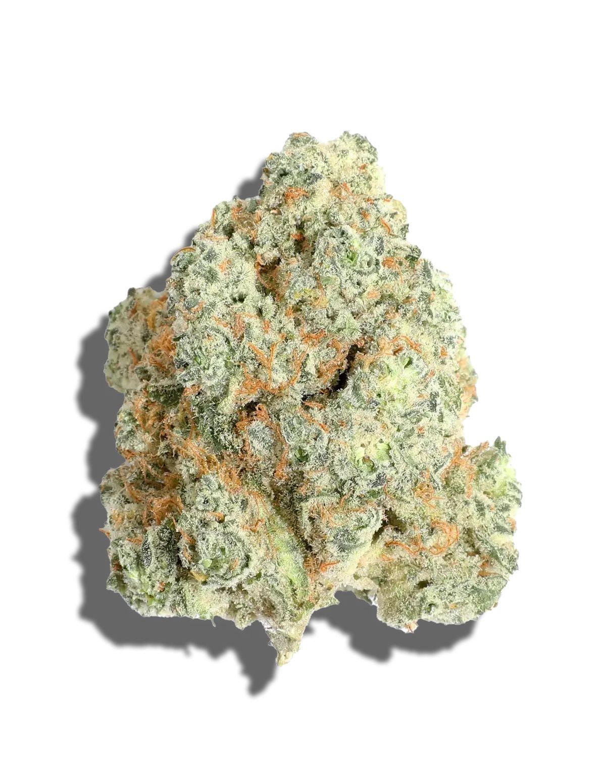 WHITE FROST PREMIUM EXOTIC INDOOR FLOWER