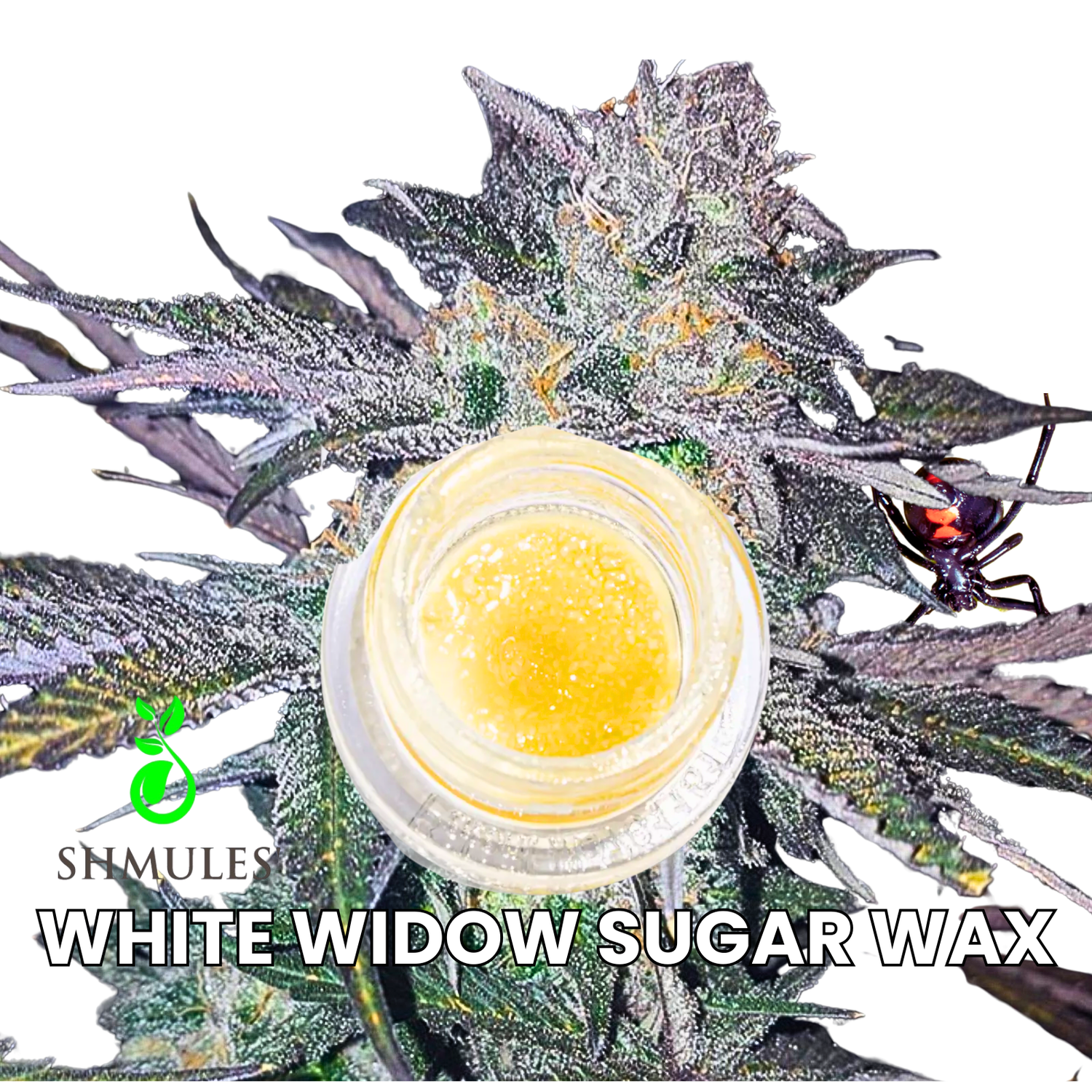 WHITE WIDOW SUGAR WAX 1G