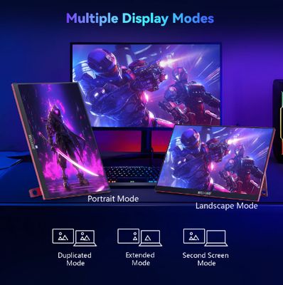 Portable Monitor