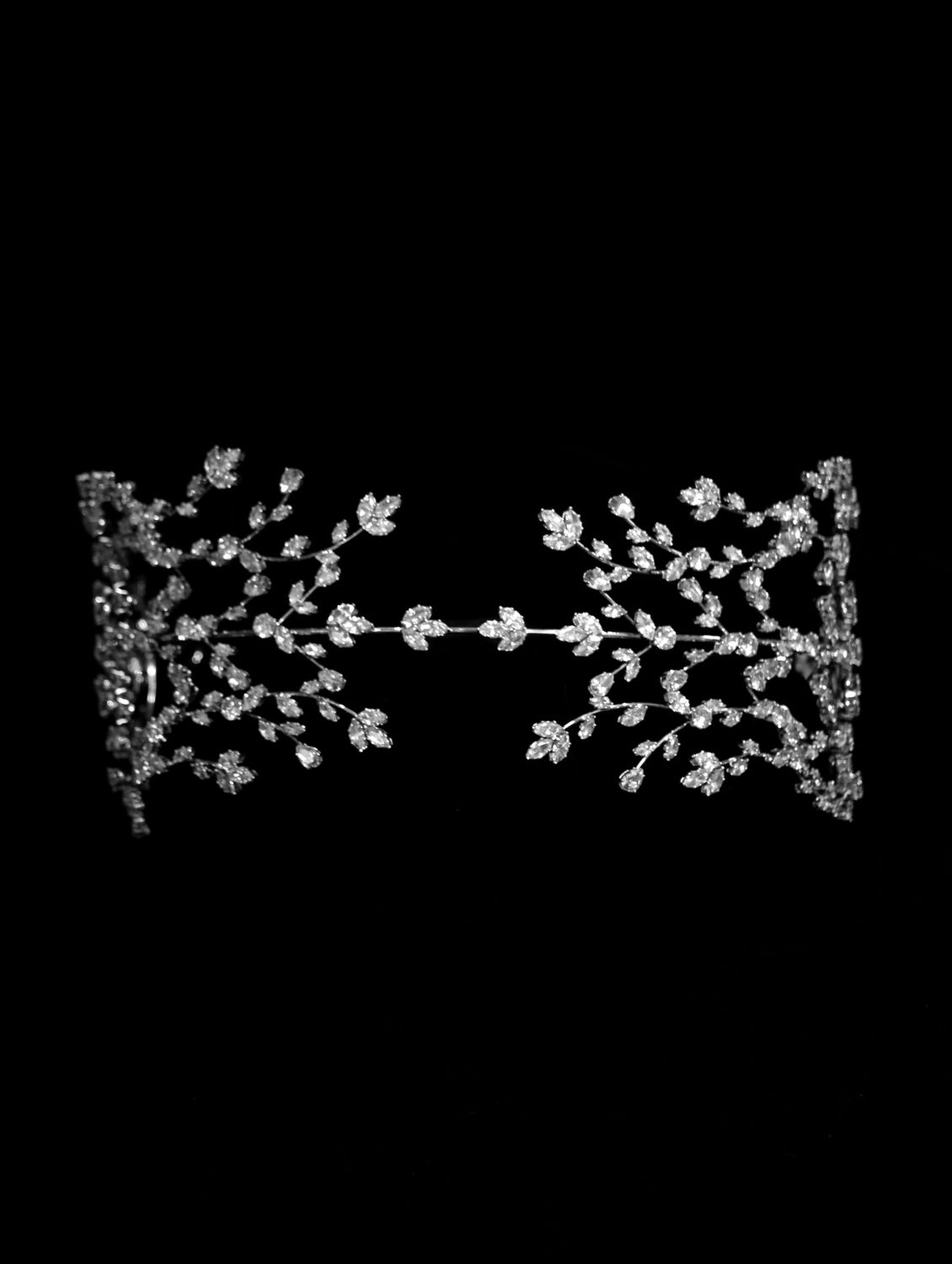 Aster
