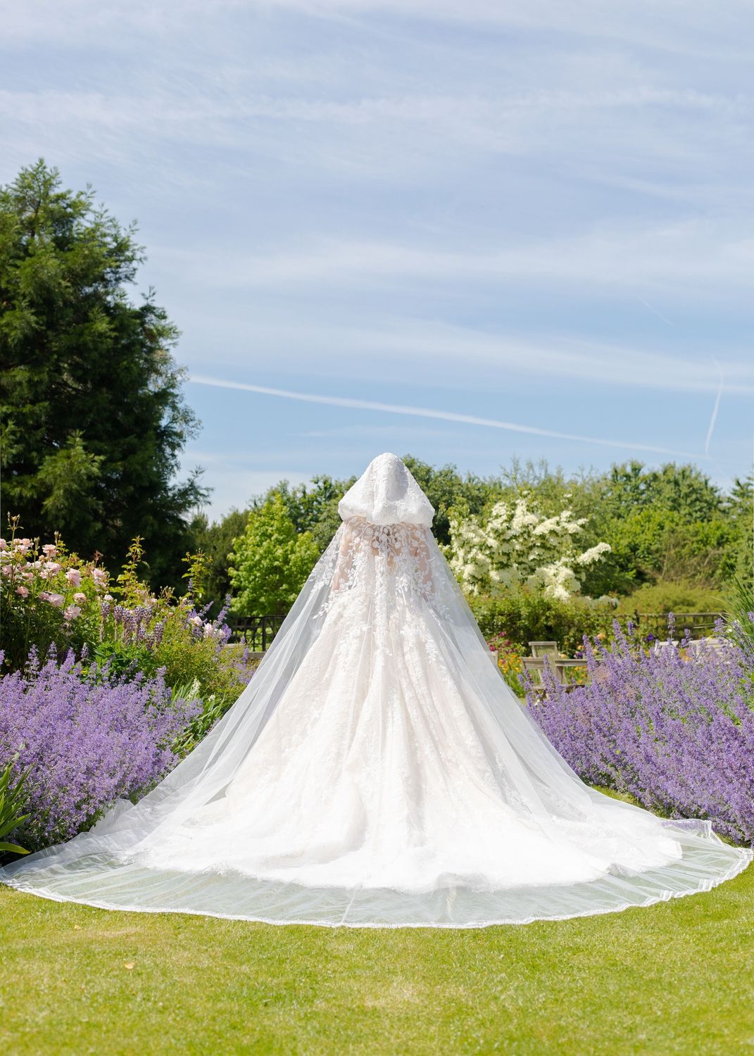 W955 Hood Veil