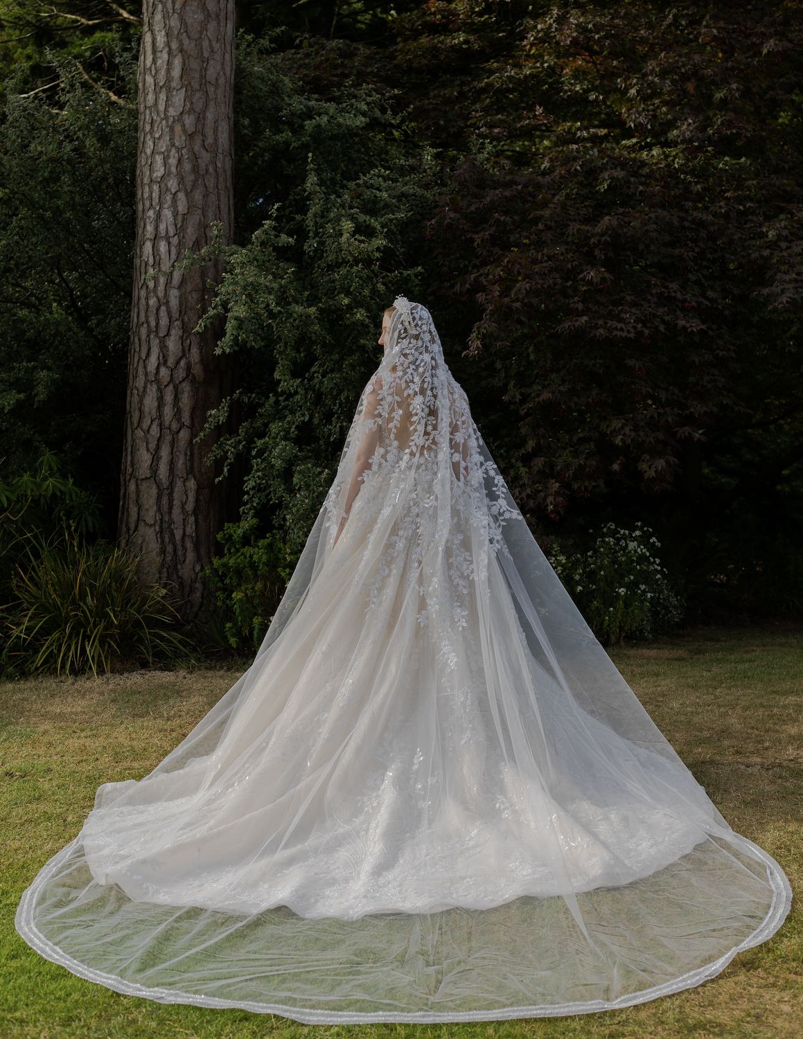 W953 Veil