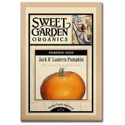 Jack O' Lantern Pumpkin