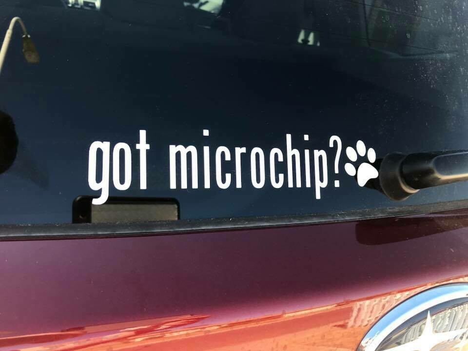 Got Microchip? w/Paw vinyl sticker