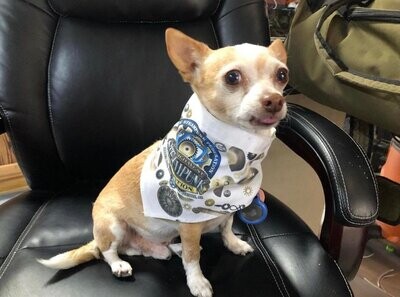 Wild Wild West Steampunk Con Dog Bandanna Wild Wild West Steampunk Con Dog Bandanna