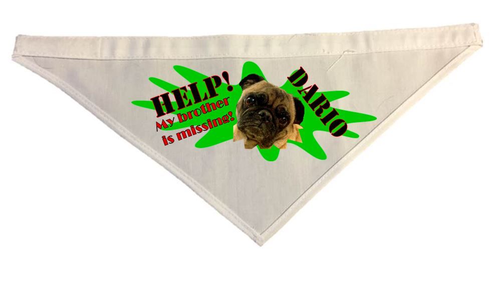 Dog Bandana