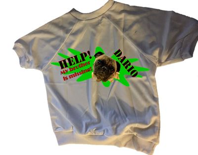 Dog Shirt - white shirt with print