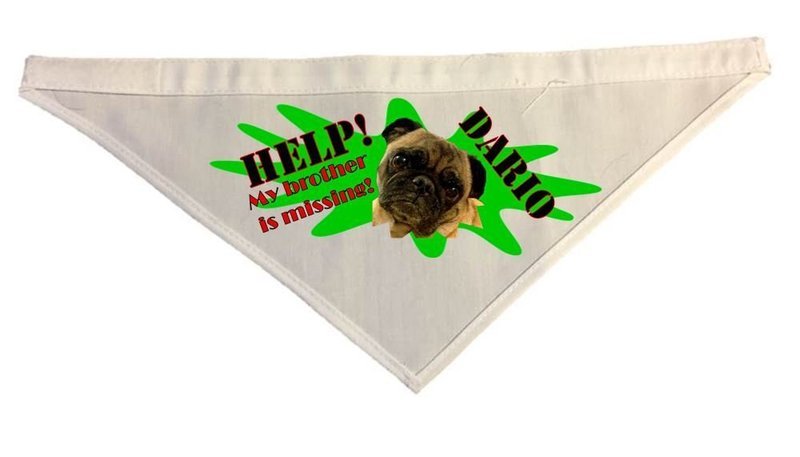 Custom Dog Bandanna for Lost & Found Cheerleaders Custom Dog Bandanna for Lost & Found Cheerleaders